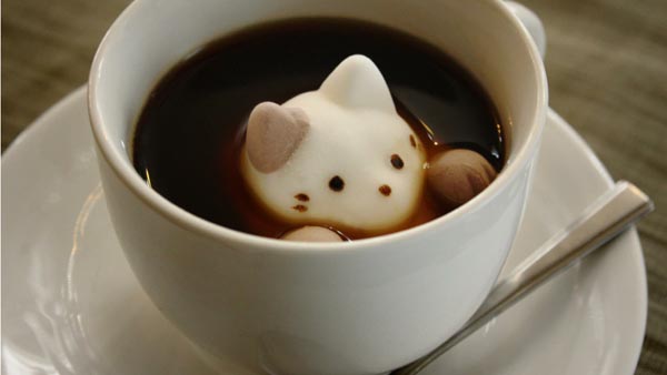 ネコのマシュマロ『Cafe Cat』が可愛すぎてキュン死に寸前