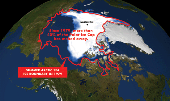 北極圏の氷河、ここ二年間で広く厚く。地球温暖化に疑問の声