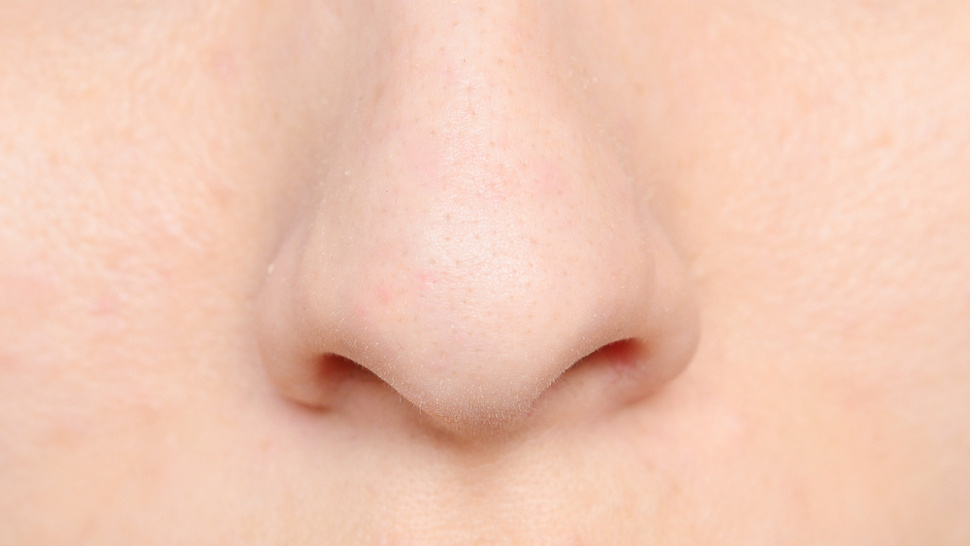 レスター大学、凶悪な細菌を嗅ぎ分けることが可能な電子の「鼻」を開発