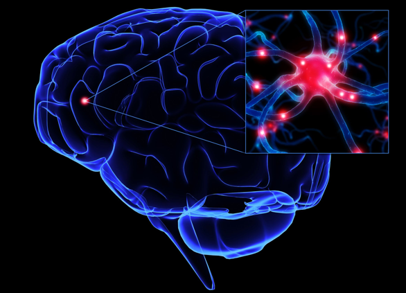 得点25%アップ！脳に電磁気刺激を与えると、記憶力が高まることが判明【米研究】