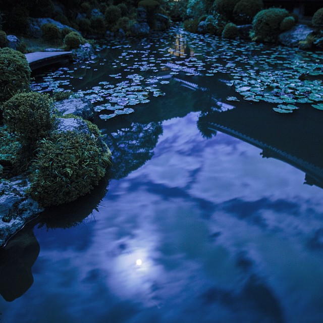 これぞ日本の美しさ。清水寺の公式インスタグラムが神秘的で超絶人気な訳