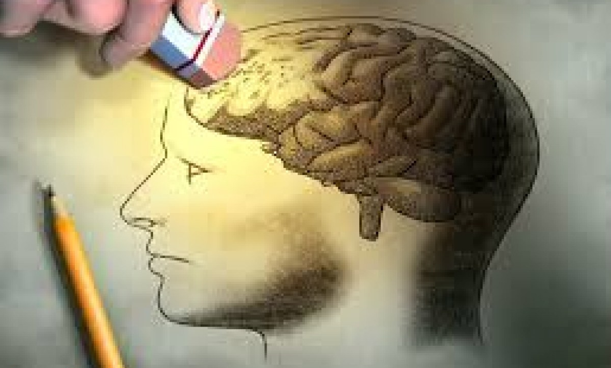 仏研究、脳への電気刺激により記憶の刷り込みに成功。忘れたい過去の消滅も