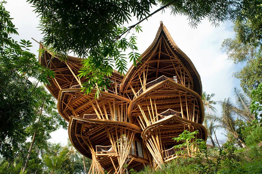 大手ホテルも発注。究極のエコハウス「竹の家」が世界中で話題に！