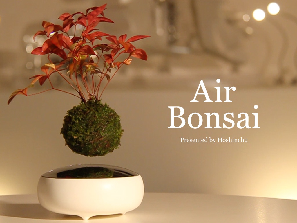 その発想はなかった。宙に浮かんで回転する盆栽「Air Bonsai」