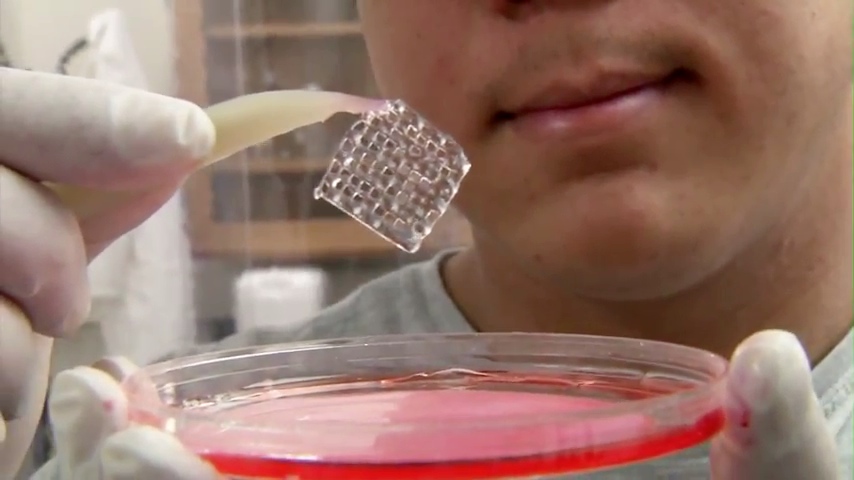 アイオワ大学が3Dプリンターで人間の「臓器」を出力