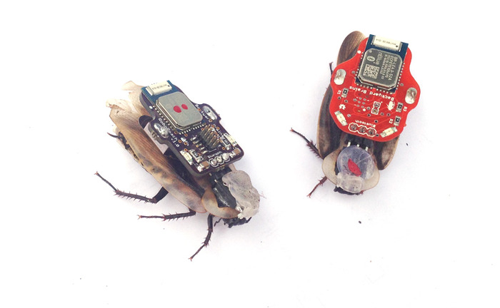 ゴキブリの脳をハックしてスマホから操作可能にするガジェット『The RoboRoach』