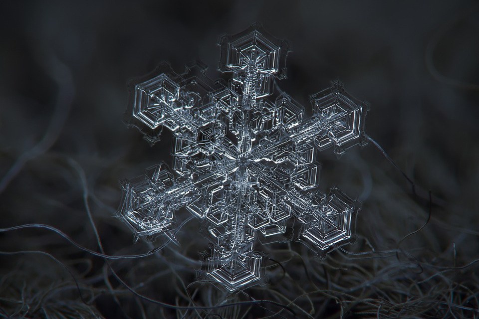 美しすぎる！雪の結晶を撮影したフォトアート『16 Amazing Macro Snowflake』