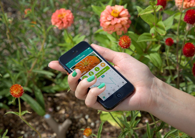土に差し込むと植物の健康状態を把握してアプリで指示してくれる『Parrot Flower Power』