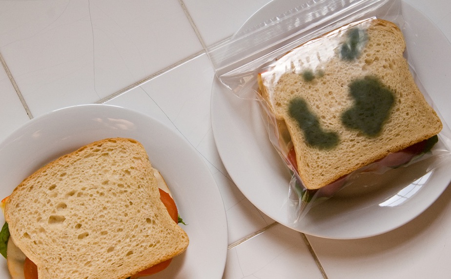 絶対に盗まれないためのランチパック『Anti-Theft Lunch Bags』