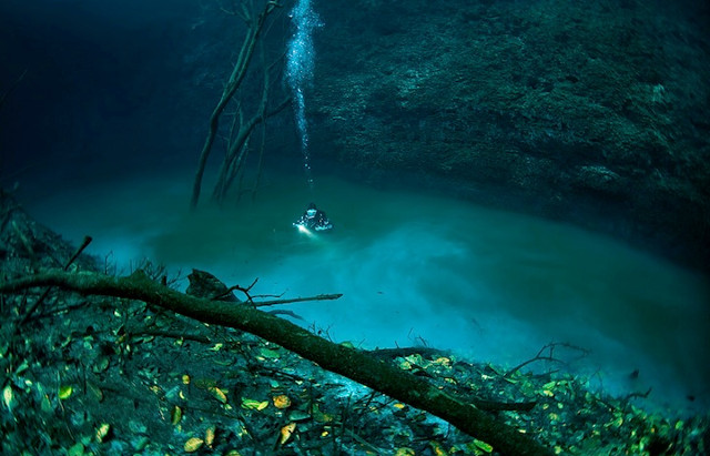 どうなってるの!?湖の底に流れる神秘の川『セノーテ・アンジェリータ』